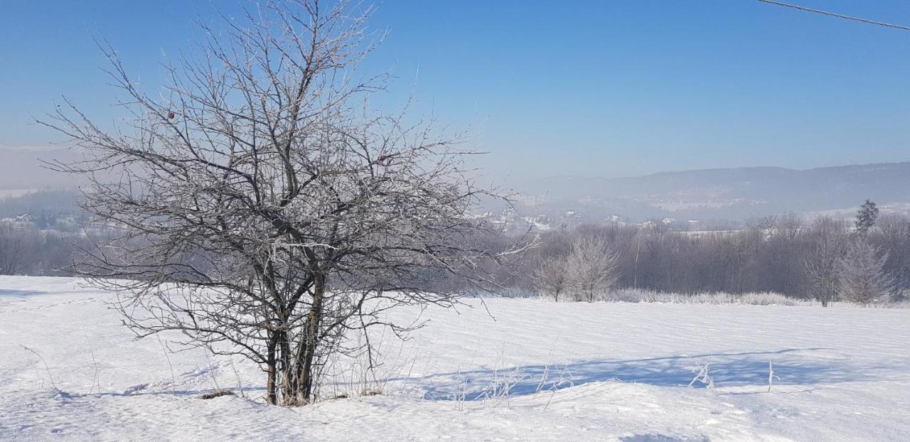 Dom Grabowa Z Sauna I Podgrzewanym Basenem Gilowice  Dış mekan fotoğraf