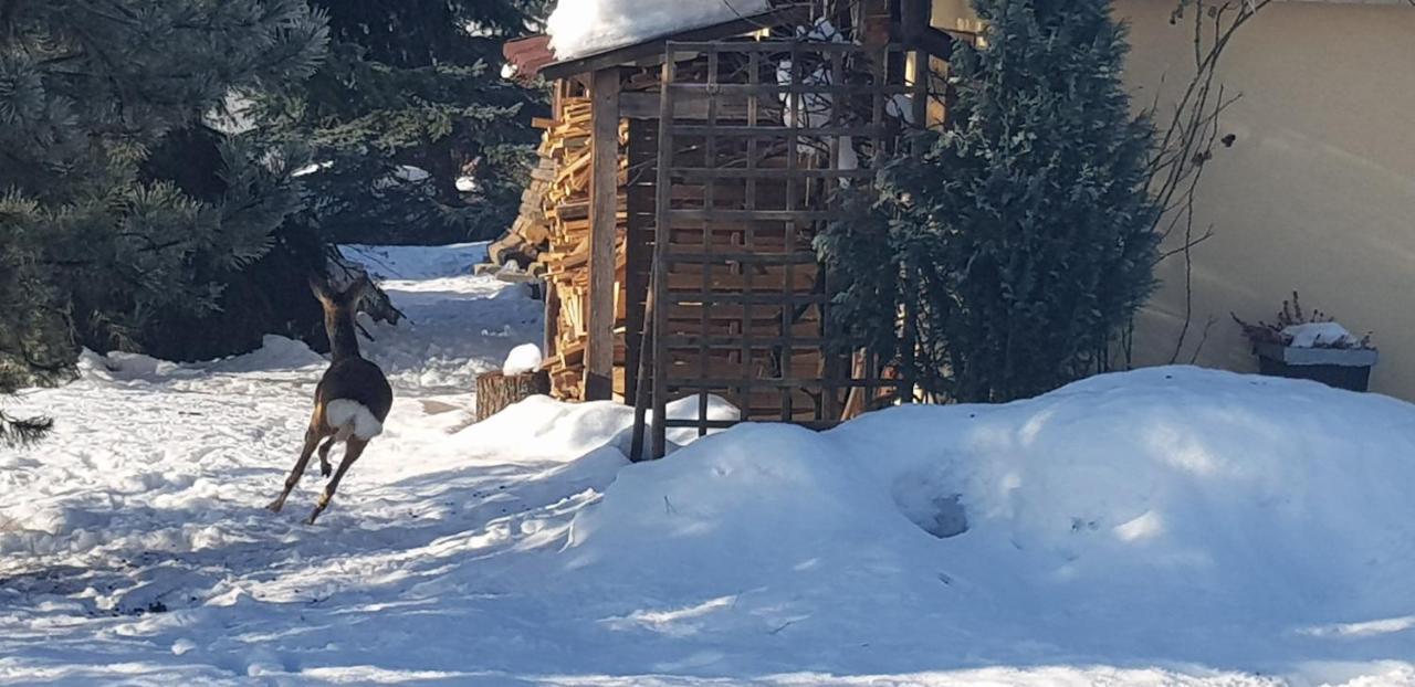 Dom Grabowa Z Sauna I Podgrzewanym Basenem Gilowice  Dış mekan fotoğraf